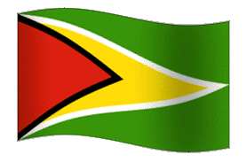 Guyana Flag Accent